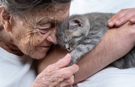 Katzen-Halterin muss ins Pflegeheim: Ihre ganze Familie fasst einen perfiden Plan