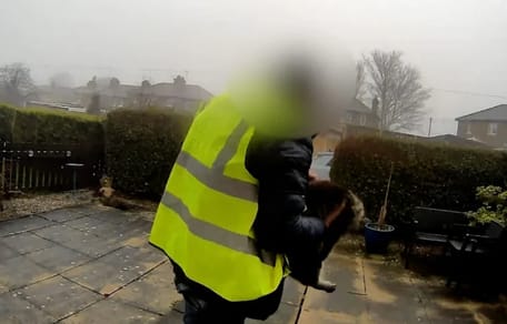 Amazon-Fahrer klaut Katze Nora