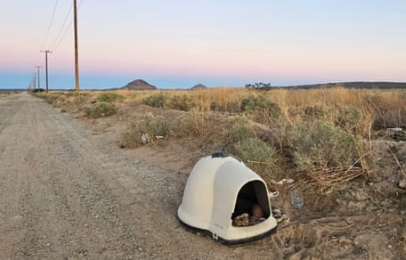 El conductor divisa un 'iglú' abandonado en el desierto: de pronto, aparecem dos ojos tristes