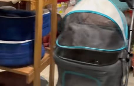 pet shop