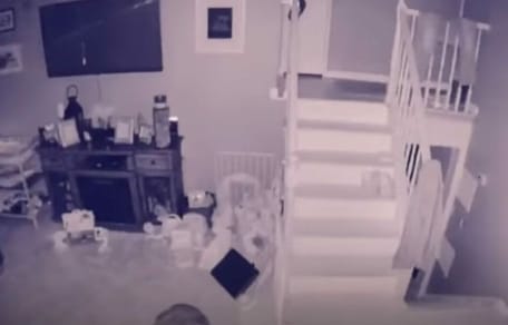 aparicion perro fantasmal