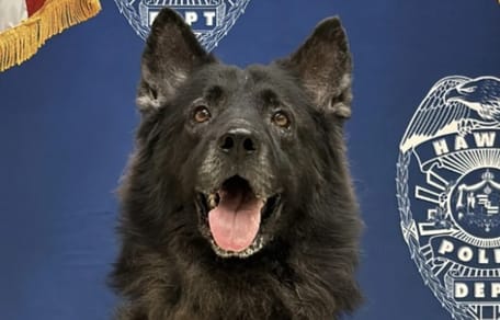 Archer de politiehond die overleed in snikhete politieauto
