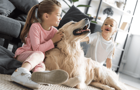Are golden retrievers good with kids?: Golden Retriever with children in a living room