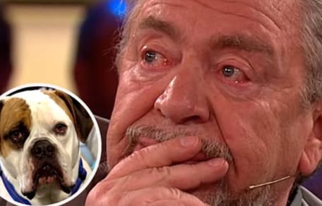 Armin Rohde weint um Hund