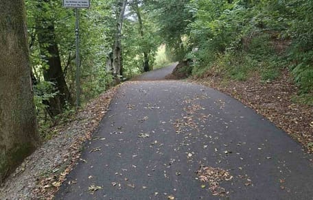 Asphaltweg im Wald