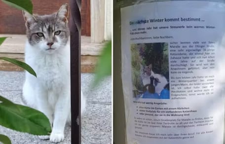 Aufruf für Streuerin Maralie