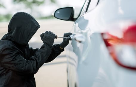 Auto-Einbrecher klaut Hund