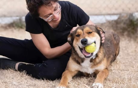 Bailey, de hond die werd geadopteerd maar terugkwam naar het asiel