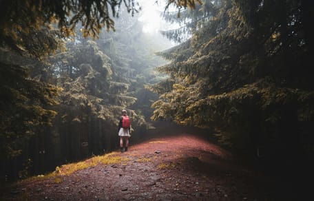 Balade en forêt