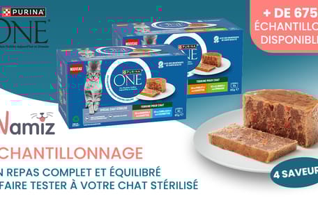 Bannière de la campagne de test produit Wamiz pour les terrines Purina ONE Spécial Chat Stérilisé.