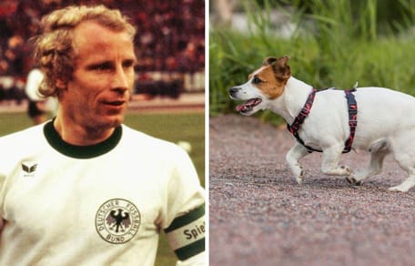 Berti Vogts' Spitzname war "der Terrier"