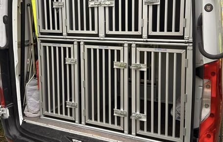 Beschlagnahme Chihuahuas Bodensee