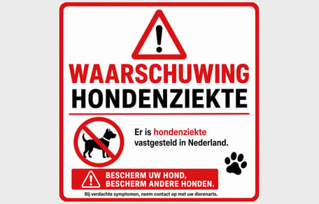 Besmettelijke hondenziekte rukt op in Nijmegen en Utrecht
