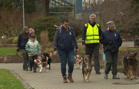 Hundetag in Baden Württemberg: Lang ersehntes Experiment sorgt für Riesen-Wirbel