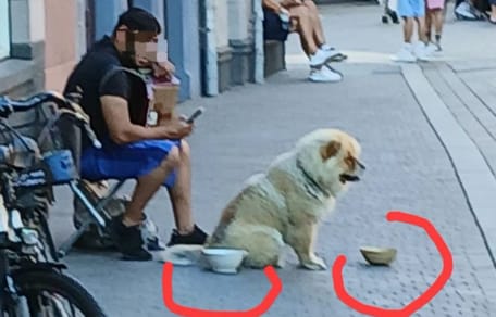Bettler mit Akkordeon und Hund
