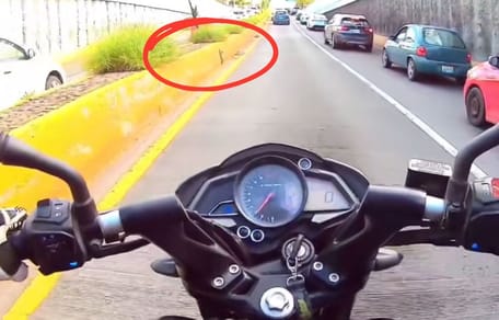 Un motorista ve un gatito en la carretera