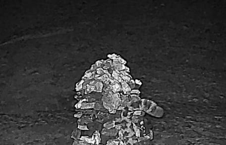 Afbeelding van de cameraval in de Himalaya