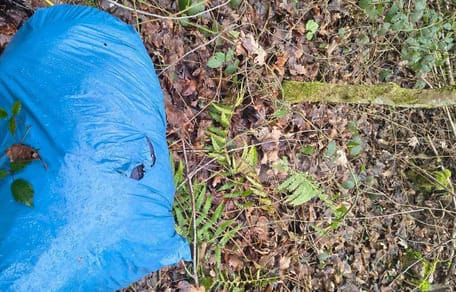 Niebieski worek na śmieci na leśnej ściółce