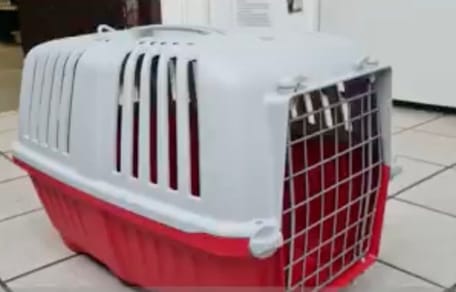Transportbox