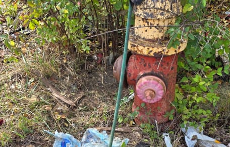 Fire hydrant
