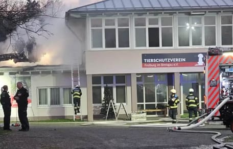 Brand im Tierheim Freiburg