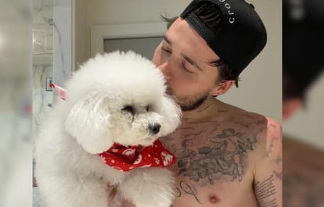Brooklyn Beckham holding white dog