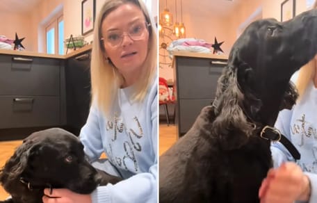 Bruiser und seine Halterin nach dem "Blutbad"