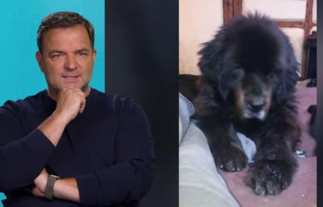 Brunos Fall schockt Martin Rütter