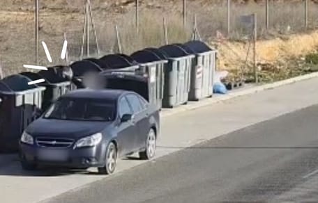 cachorros-arrojados-contenedor-basura-villarrobledo-albacete