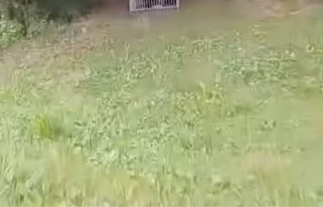 Cage abandonnée