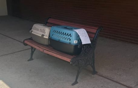 Trasportino per animali
