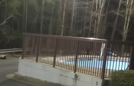 Family dumps cat family at motel: then terrifying rescue ensues