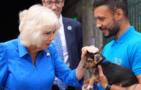 Camilla en een asiel pup