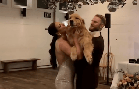 cane al matrimonio