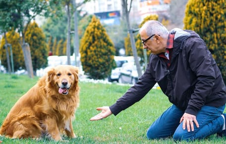 cane con anziano