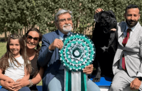 cane corso vincitore