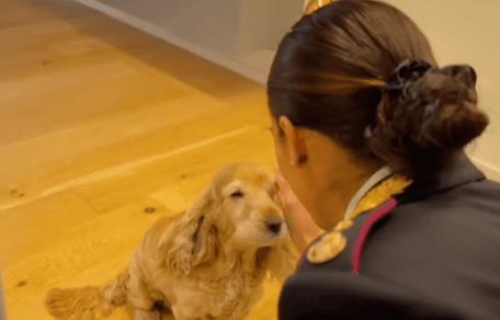 cane e poliziotta