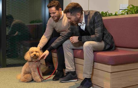 cane in ufficio
