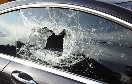 perro muere tras ser dejado en coche ardiente