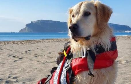 Cane soccorre due turisti