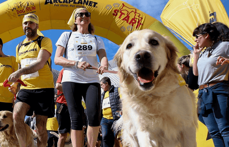 cani  e padroni che corrono