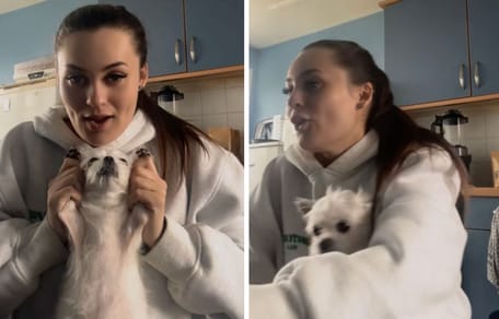 Captures de la vidéo du chien