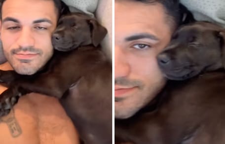 Captures de la vidéo du chien