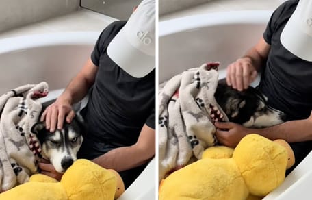 Hund verschwindet während eines heftigen Gewitters: Herrchen findet ihn in einem Versteck, das ihm das Herz bricht (Video)
