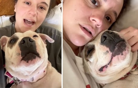 Captures from several videos of the dog named Molly