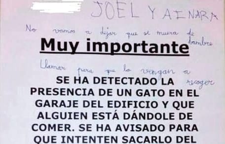 cartel-joel-ainara-comida-gato-garaje