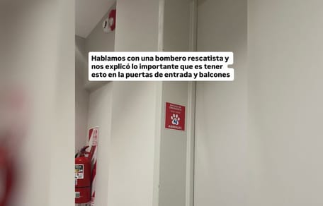 cartel-salvar-animales-emergencia
