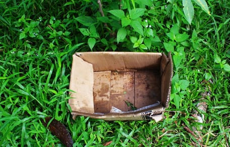 carton