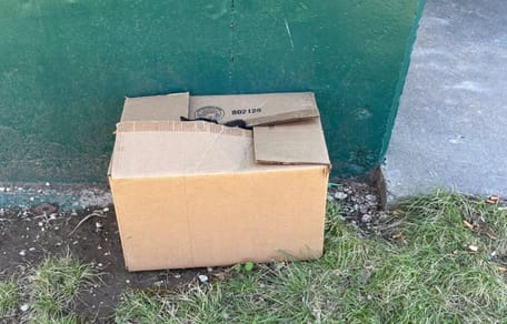 Abandoned cardboard box