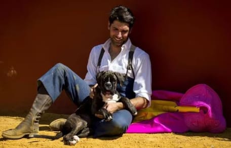 cayetano-rivera-perro-tango